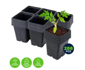 Seedling Planter Pot Square Garden Greens 288 PC Set